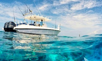 Half Day 6-hour boat trip for fishing and sightseeing in Addu City, Maldives