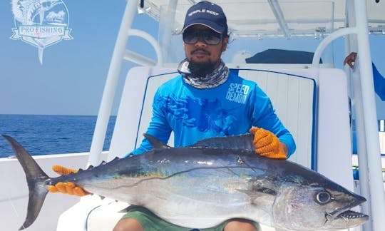 Half Day 6-hour boat trip for fishing and sightseeing in Addu City, Maldives