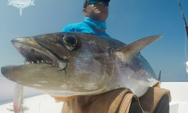 Excursion en bateau de 8 heures avec pêche pour 4 passagers maximum à Addu City, aux Maldives