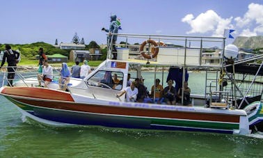 Bateau de plongée avec requins de 36 pieds à Gansbaai