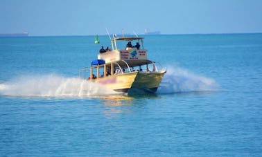 Profitez de l'observation des dauphins à Richards Bay, en Afrique du Sud