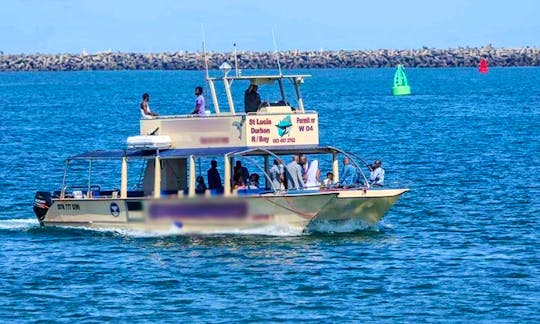 Enjoy Dolphin Watching in Richards Bay, South Africa