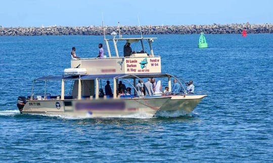 Enjoy Dolphin Watching in Richards Bay, South Africa