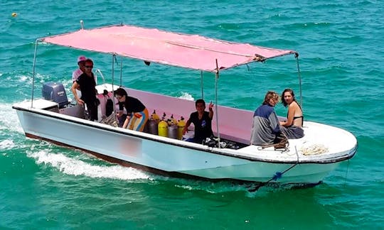 Boat Diving Trips & Lessons in Máncora
