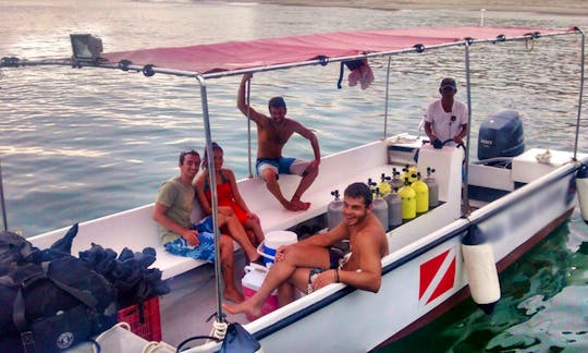 Boat Diving Trips & Lessons in Máncora