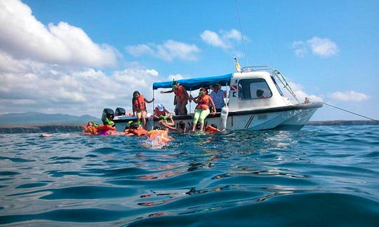 Glass Bottom Boat Bay Tour in Puerto Ayora