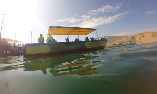 Passeio de barco pela vida selvagem em Mancora, Perú