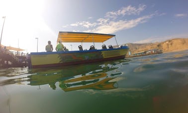 Wildlife Trip Boat in Mancora, Peru