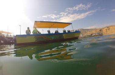 Wildlife Trip Boat in Mancora, Peru