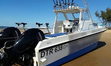 Profitez de visites d'observation des baleines au KwaZulu-Natal, en Afrique du Sud