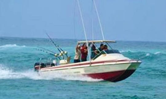 Game Fishing and Marlin Fishing Charter in KwaZulu-Natal, South Africa