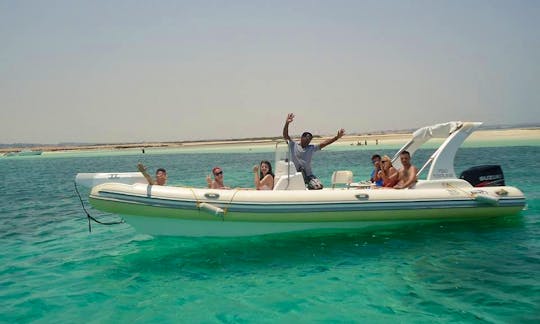 Enjoy the Red Sea Governorate, Egypt by Rigid Inflatable Boat Charter
