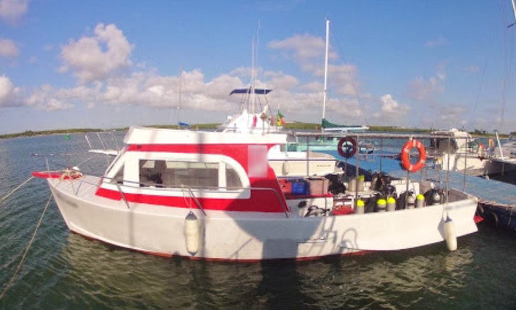 TOP 10 Natal, State of Rio Grande do Norte Boat Rentals (with Reviews) |  GetMyBoat
