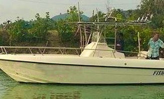 All fishing equipment included + lunch on this fishing tour!