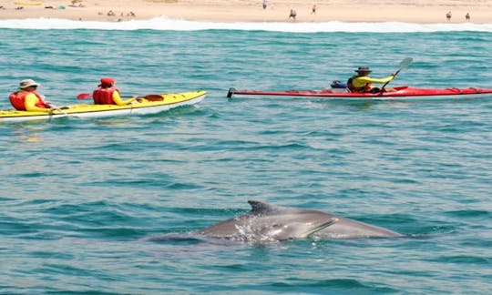 Kayak Rental in Plettenberg Bay