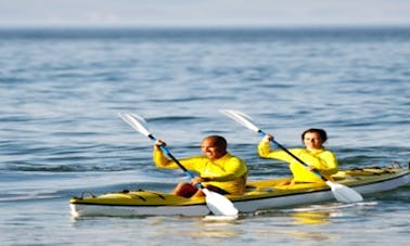 Kayak Rental in Plettenberg Bay