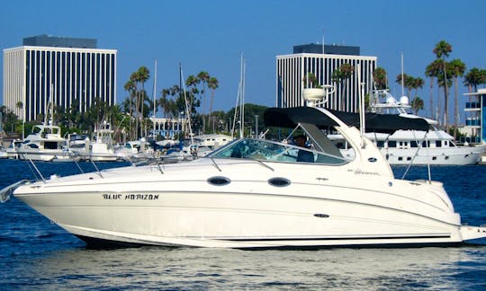 BLUE HORIZON 31' CHARTER BOAT in Marina del Rey / Los Angeles