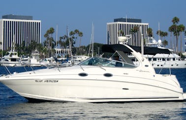 Captained ONLY Charter on 31' Sea Ray Powerboat in Marina del Rey