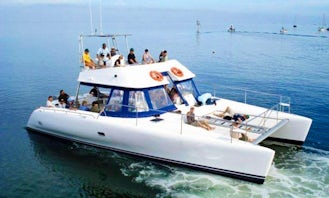 Dolphin Cruise plus Sandwich harbour 4x4 Tour in Walvis Bay