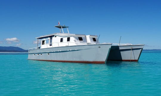 Enjoy Diving in Antsiranana Province, Madagascar