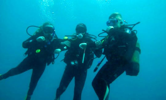 Scuba Diving In South Africa