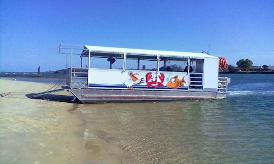 Charter VIP1 Pontoon Boat In Tweed Heads, Australia