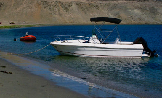 Enjoy Fishing In Antofagasta, Chile On 16' Robalo Center Console