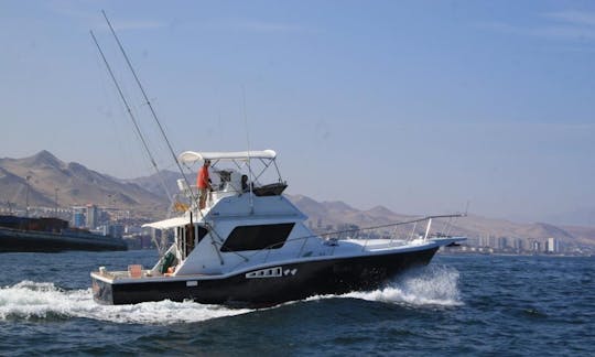 Disfrute de la pesca en la bahía de Antofagasta, Chile, en 36' Sport Fisherman