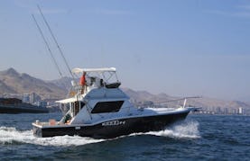 Enjoy Fishing in Antofagasta Bay, Chile on 36' Sport Fisherman
