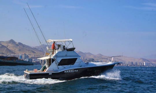 Enjoy Fishing in Antofagasta Bay, Chile on 36' Sport Fisherman