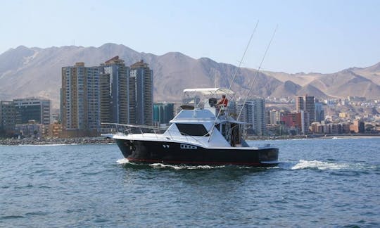 Disfrute de la pesca en la bahía de Antofagasta, Chile, en 36' Sport Fisherman