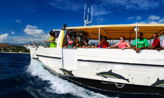 'Dolphin Safari' Catamaran Cruise in Saint-Gilles les Bains