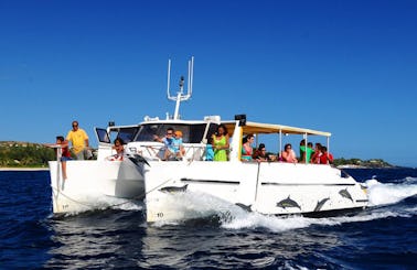 'Dolphin Safari' Catamaran Cruise in Saint-Gilles les Bains
