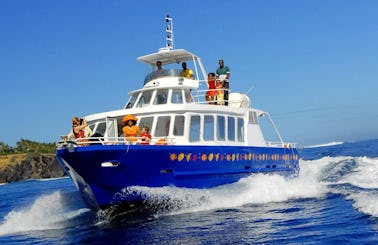 'Le Grand Bleu II' Boat Cruise in Saint-Gilles les Bains
