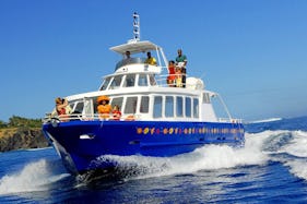 'Le Grand Bleu II' Boat Cruise in Saint-Gilles les Bains