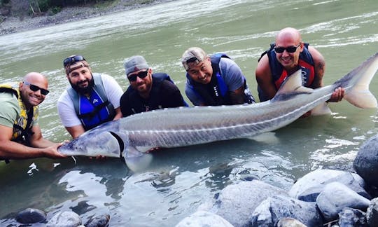 Full Day Sturgeon Fishing Adventure on Frazer River, British Columbia