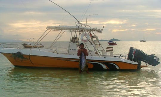 Alquiler de surf en Baie Ste Anne, Seychelles