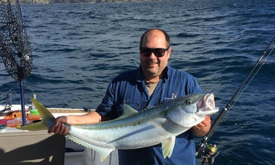 Profitez de la pêche sur un bateau « Albacora » de 30 pieds à Whangaroa, en Nouvelle-Zélande