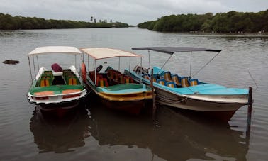 Tour privado en barco por la Provincia del Norte, Sri Lanka