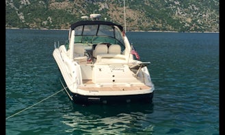 Sea Ray Sundancer 375 for rent in Kotor, Montenegro