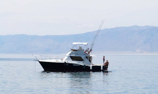 Charter the 39' Chris-Craft Commander 360 Yacht in Antofagasta