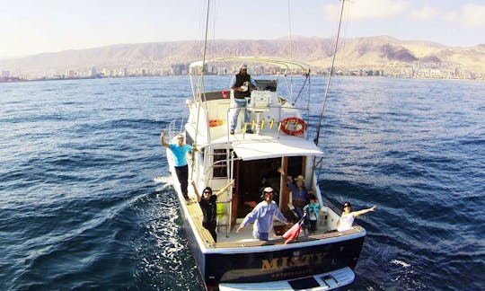 Charter the 39' Chris-Craft Commander 360 Yacht in Antofagasta