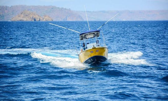 26' Robalo center console, a comfortable touring boat. Our distinctive yellow hull is easy to spot from the shore.