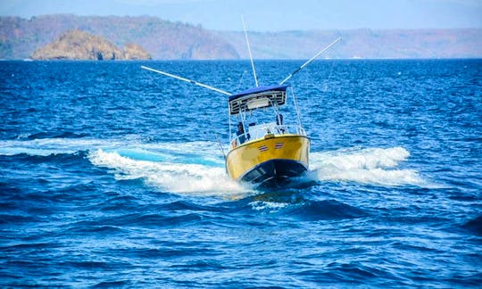 26' Robalo center console, a comfortable touring boat. Our distinctive yellow hull is easy to spot from the shore.