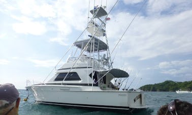 Enjoy Fishing in Sardinal de Carrillo, Costa Rica on 37' Bertram Sport Fisherman