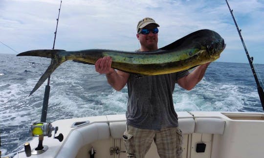 Enjoy Fishing in Sardinal de Carrillo, Costa Rica on 37' Bertram Sport Fisherman