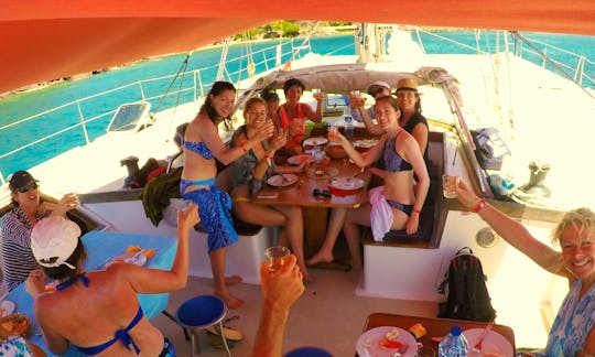 Day tour and sea turtles on a sailing catamaran from Deshaies