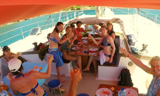 Day tour and sea turtles on a sailing catamaran from Deshaies