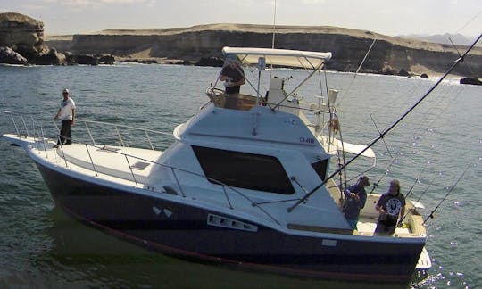 Charter the 39' Chris-Craft Commander 360 Yacht in Antofagasta