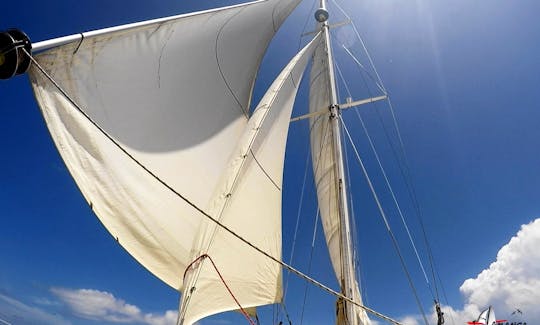 Excursion matinale sur la mer des Caraïbes au départ de Deshaies